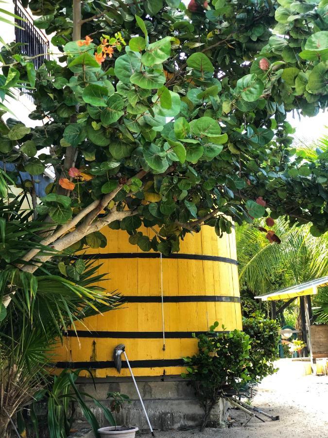 The Novelo Hotel Caye Caulker Buitenkant foto