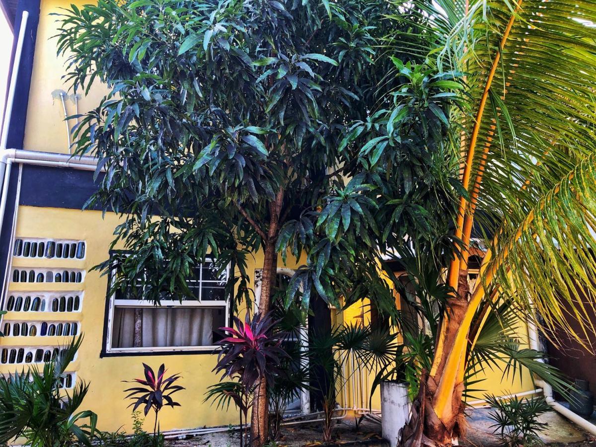 The Novelo Hotel Caye Caulker Buitenkant foto