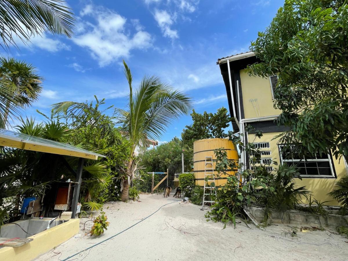 The Novelo Hotel Caye Caulker Buitenkant foto