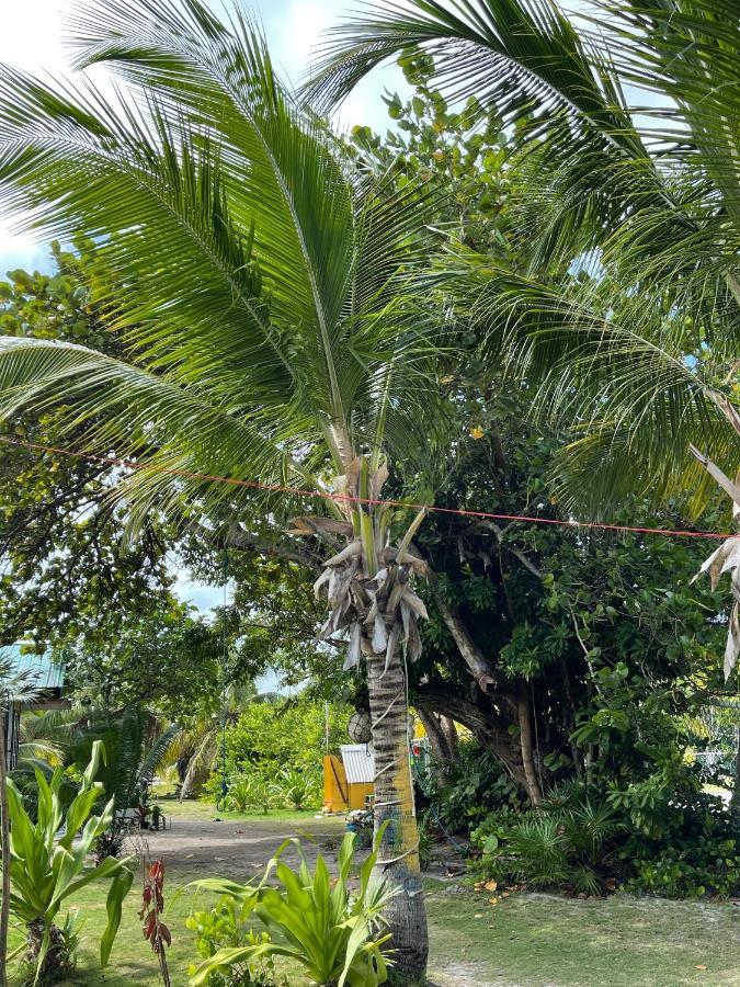 The Novelo Hotel Caye Caulker Buitenkant foto