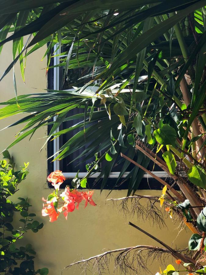 The Novelo Hotel Caye Caulker Buitenkant foto