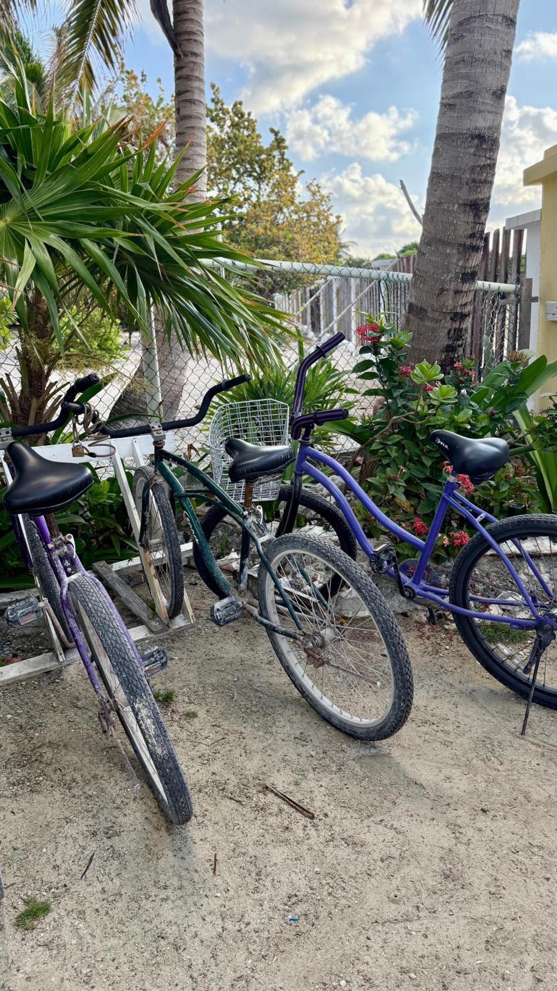 The Novelo Hotel Caye Caulker Buitenkant foto